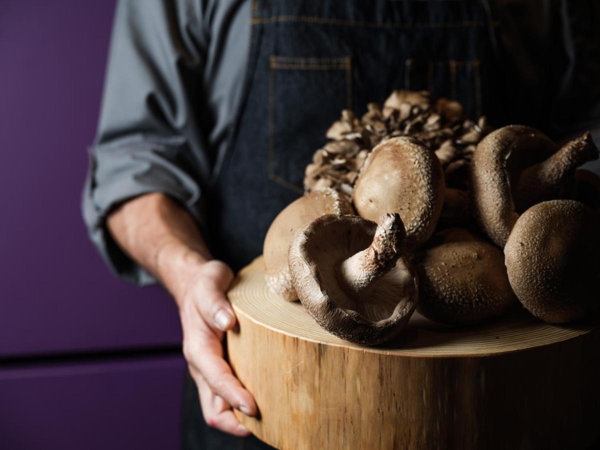 Hyatt Centric Kanazawa Eksteriør bilde Shiitake mushrooms